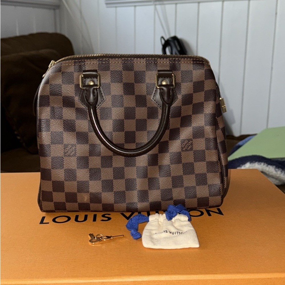 Louis Vuitton Brown Checkered Handbag